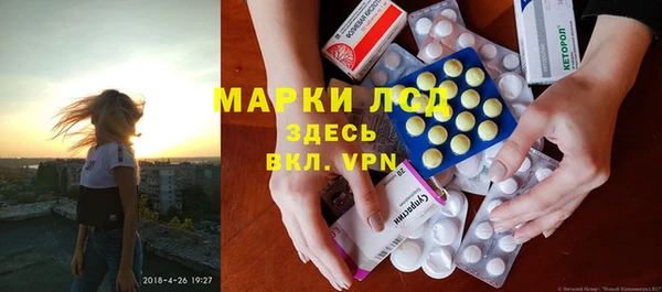 прущие грибы Гусиноозёрск