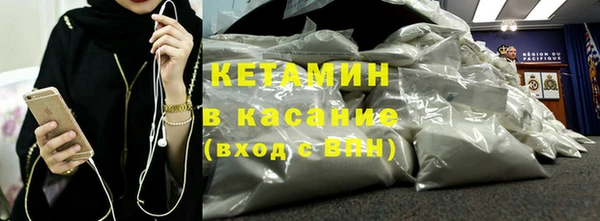 прущие грибы Гусиноозёрск