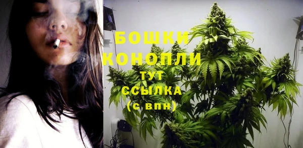 дживик Гусев