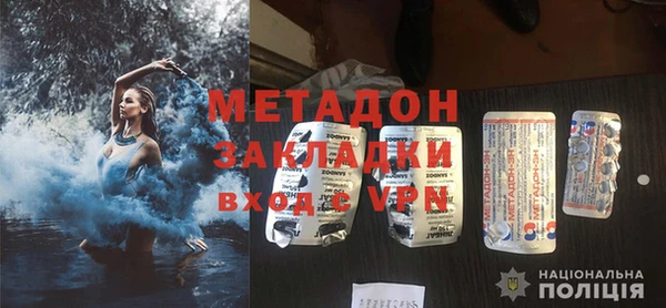 прущие грибы Гусиноозёрск