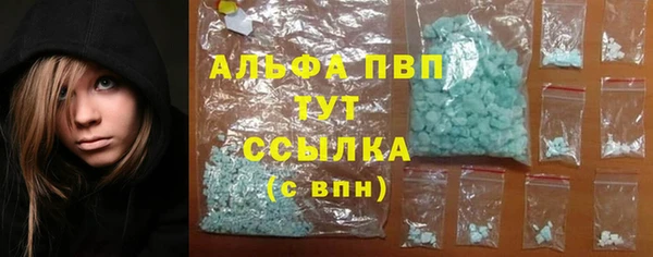 стаф Медногорск