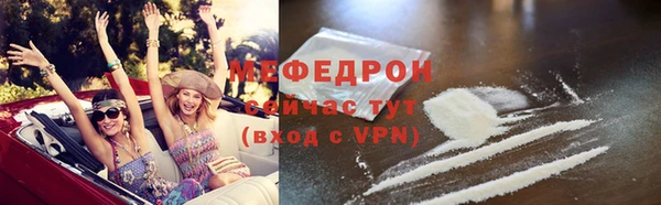 индика Горнозаводск