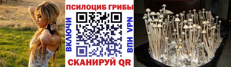 Псилоцибиновые грибы Cubensis  Десногорск 