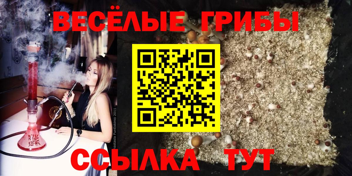 Десногорск  наркота  Псилоцибиновые грибы ЛСД  Вход с VPN  Галлюциногенные грибы MAGIC MUSHROOMS 