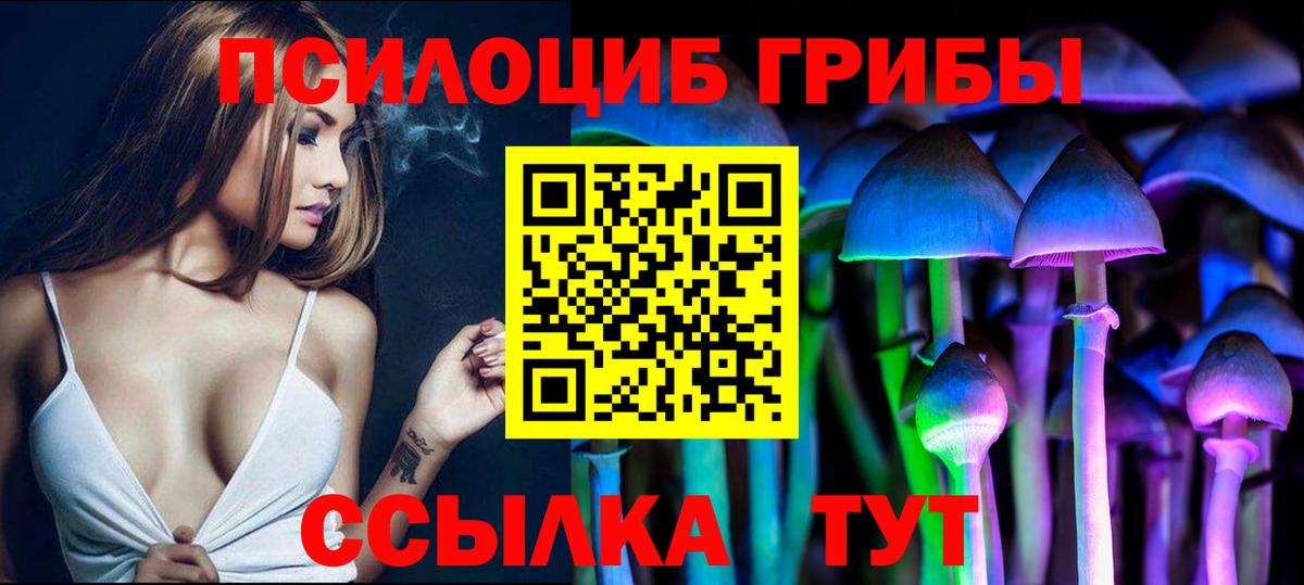 Псилоцибиновые грибы Psilocybine cubensis Десногорск